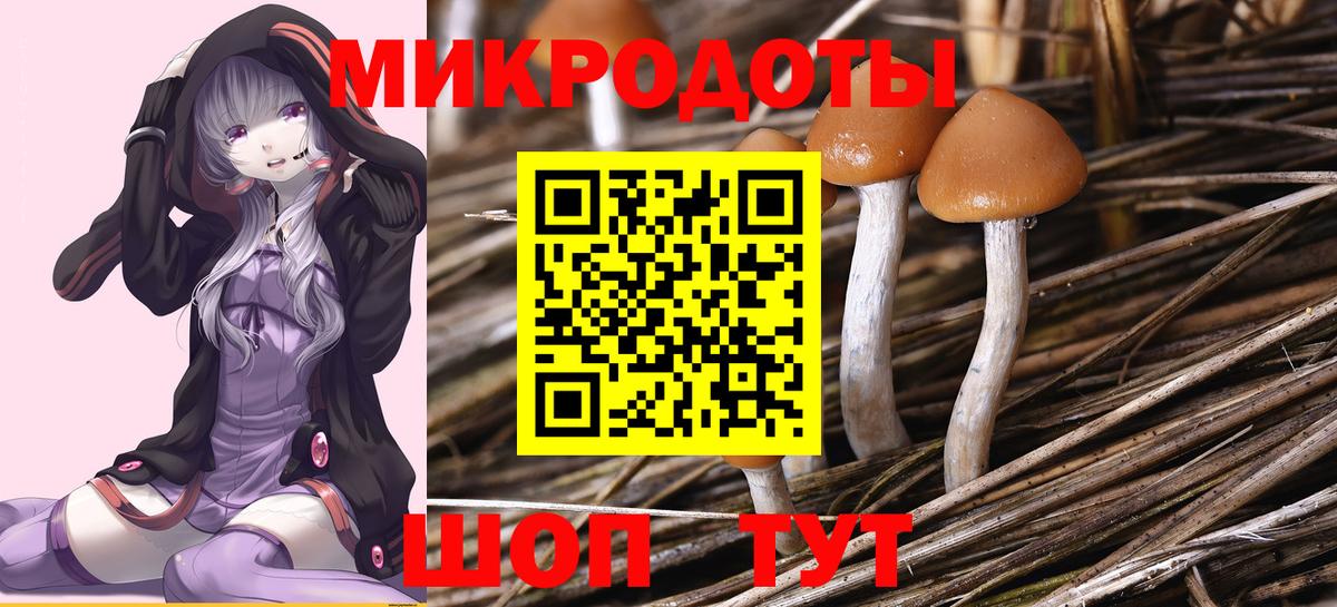 Галлюциногенные грибы прущие грибы Ачхой-Мартан