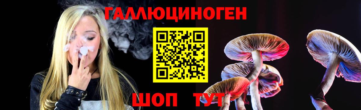 где купить наркотик  Вход с VPN  Ачхой-Мартан  Галлюциногенные грибы Cubensis 